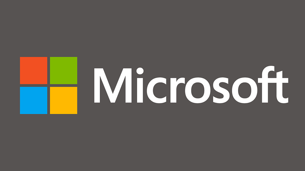 Microsoft Logo Grey